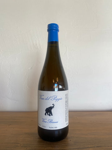 Bottle of 2021 Vino del Poggio Ortrugo Bianco